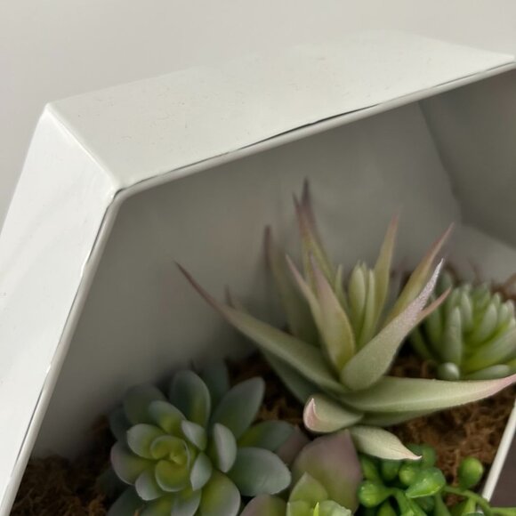 Faux succulents in wall planter - Picture 3 of 5